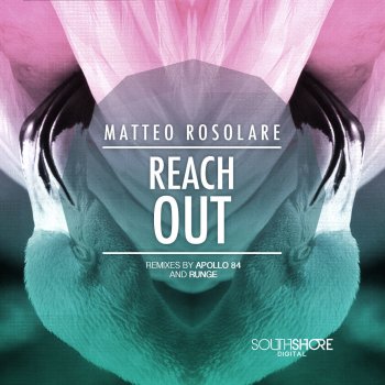 Matteo Rosolare Reach Out - Original Mix