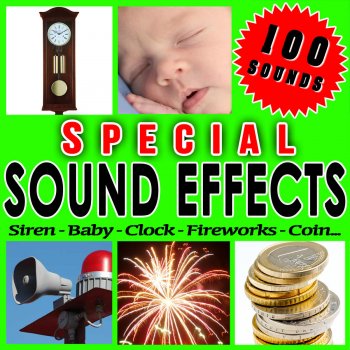 Sfx Professional Resource Studio Fire, Wood