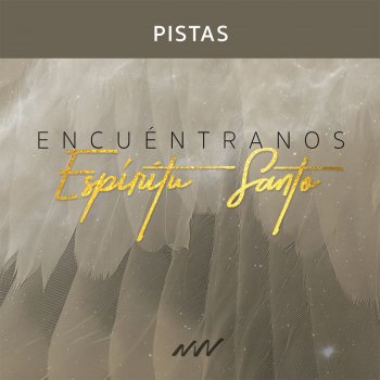 New Wine Ven Descansa Espíritu Santo (Instrumental)