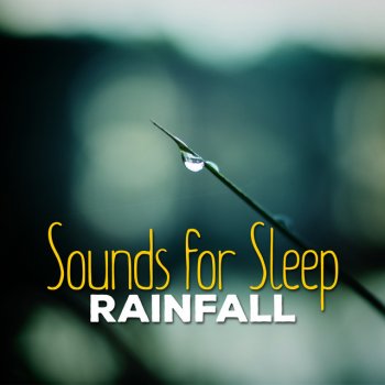 Deep Sleep Rain Sounds The Rain Leaks Through