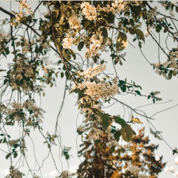 Исполнитель Danny Fresko, альбом Into Me