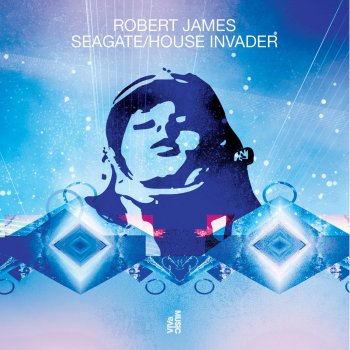 Robert James feat. Groove Armada House Invader - Groove Armada Terrace Mix