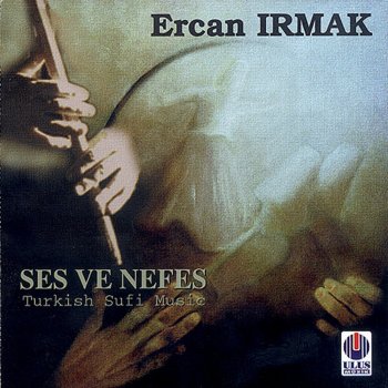 Ercan Irmak Demedim Mi