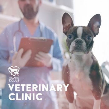 Pet Care Club Veterinary Therapy Tunes