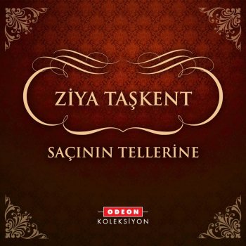 Ziya Taşkent Unutmadım Seni Ben