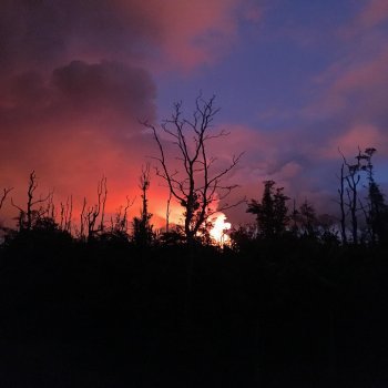 Исполнитель Kampsy, альбом Internal Pulse