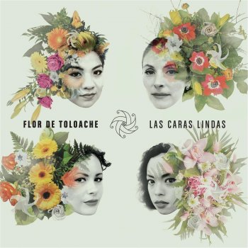 Flor de Toloache Juan Ga: Se Me Olvidó Otra Vez / Costumbres / Me Gustas Mucho