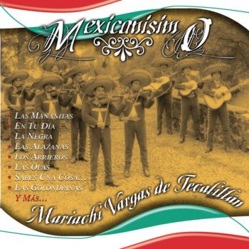 Mariachi Vargas De Tecalitlan México de Noche (Tema de Noche a Noche)