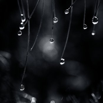 Исполнитель Nadia Popoff, альбом Eleven