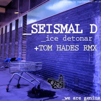 Seismal D Ice Detonar (Original Mix)