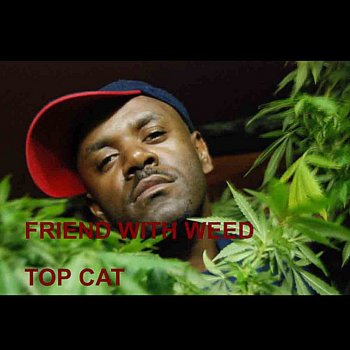 Top Cat Friend With Weed