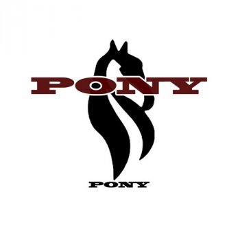 Pony Black Waters