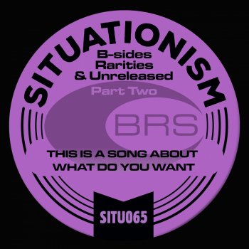 Исполнитель BRS, альбом B-Sides, Rarities & Unreleased, Pt. 2