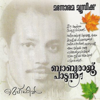 M. S. Baburaj Thedunnathare
