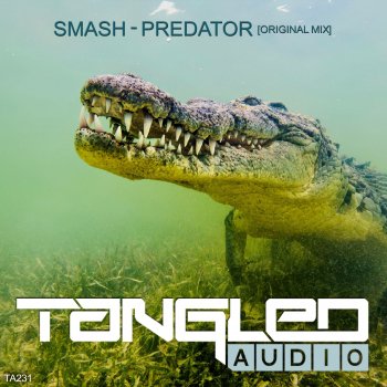 Smash Predator (Radio Edit)