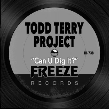 Todd Terry Can U Dig It - Extended Remix