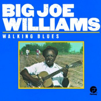 Big Joe Williams Skinny Mama