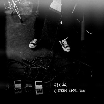 Исполнитель Flunk, альбом Cherry Came Too