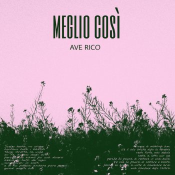 Ave Rico Meglio così