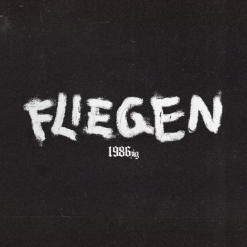 1986zig Fliegen