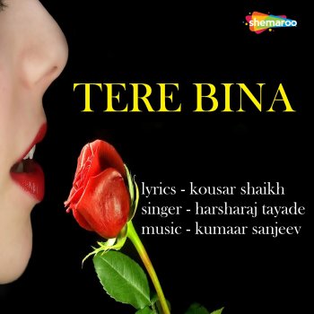 Исполнитель Harsharaj Tayade, альбом Tere Bina - Single