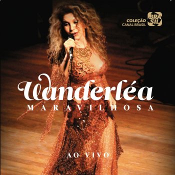 Wanderléa Que Besteira (Ao Vivo)