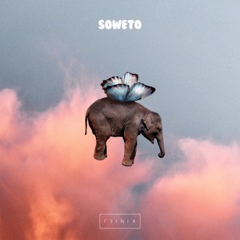 Trinix Soweto