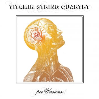 Vitamin String Quartet Stumblefoot Wheels