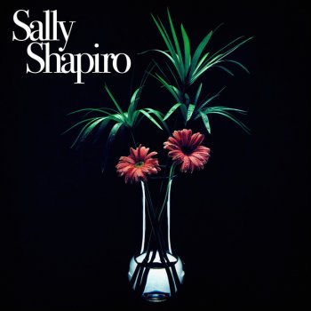 Sally Shapiro Fading Away