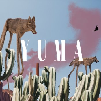 Yuma Lonely Dream