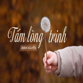 Исполнитель Jimmi Nguyen, альбом Tấm Lòng Trinh