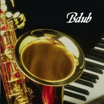 B-Dub Is This What You Want?