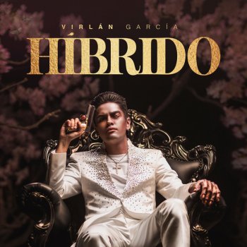 Virlan Garcia Híbrido