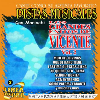 MMP Bohemio de Aficion (Karaoke)