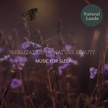 Ambient Nature Blissful Music Sparkling Waterfall Hiss
