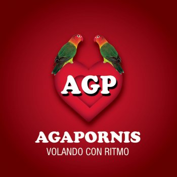 Agapornis Dónde Están Corazón