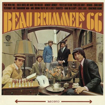 The Beau Brummels Hang On Sloopy