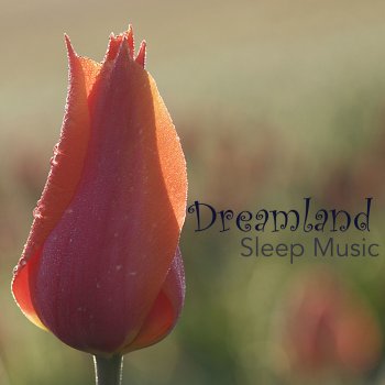 Dream Music Academy Sleeping Melody (Relaxing Sleep Music)