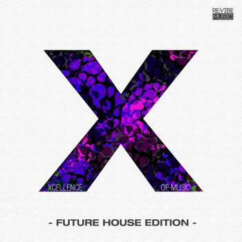 Twelve You Need Love (Extended Mix)