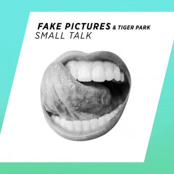 Fake Pictures feat. Tiger Park Small Talk