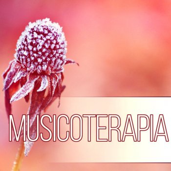 Musica Relax Academia Musicoterapia