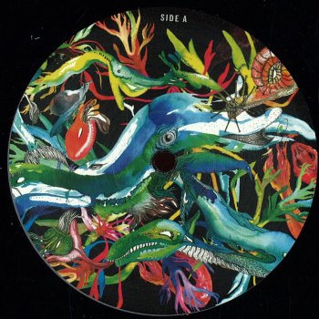 Исполнитель Silky Raven, альбом Seychelles to Rave