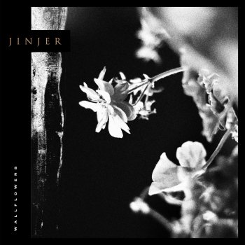 Jinjer Wallflower