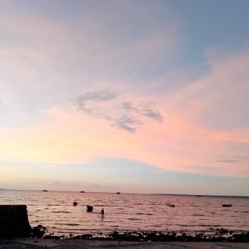 Исполнитель DJ Pablo, альбом Rosa Lin Snap