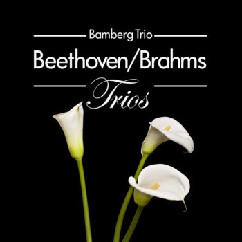 Исполнитель Bamberg Trio, альбом Beethoven/Brahms: Trios