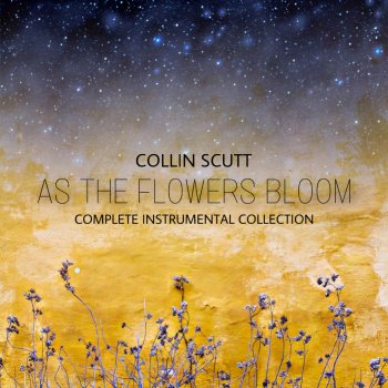 Collin Scutt Dragon's Egg (feat. Steven Scutt)