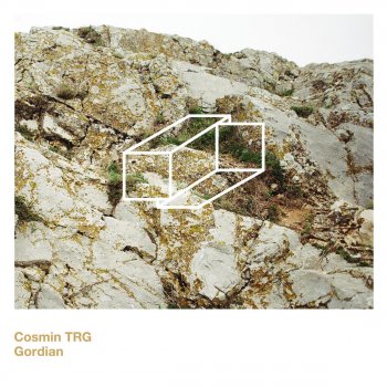 Cosmin TRG Divided By Design