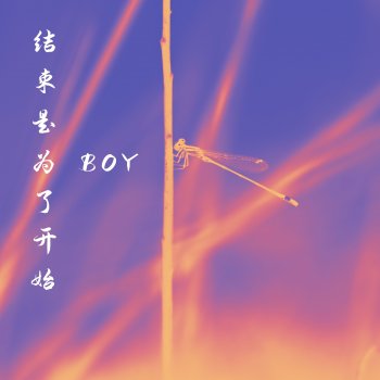 Boy 爱的落寞