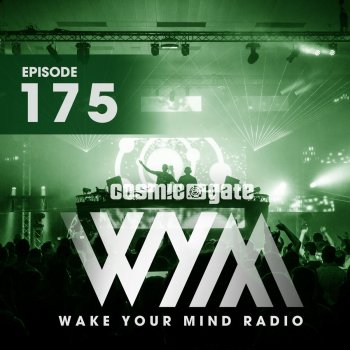 LEVV Collateral Damage (Wym175) (Matt Fax Remix)