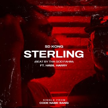 SD Kong Sterling (feat. Hábil Harry)